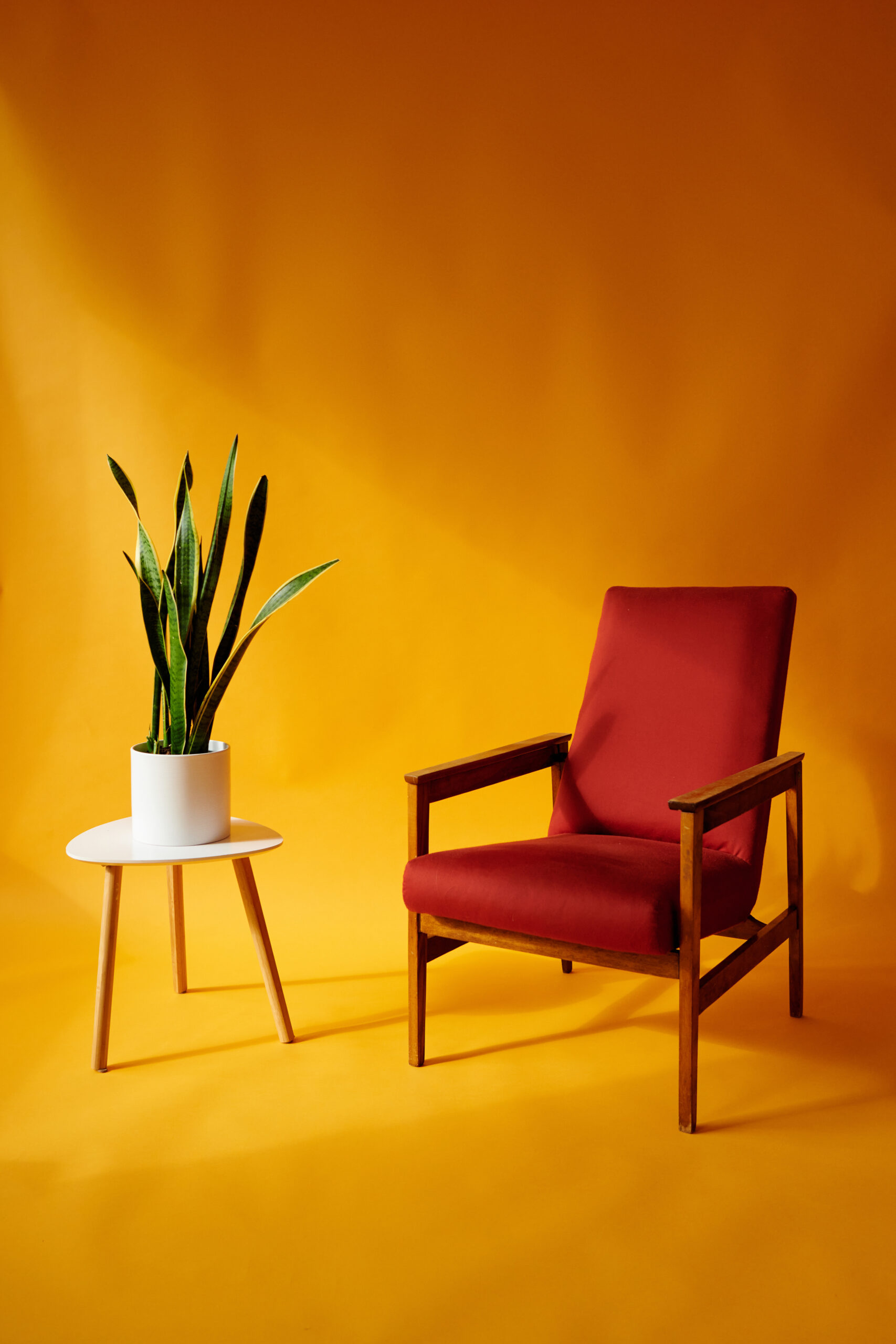 About red chair and green plant, white table, yellow background